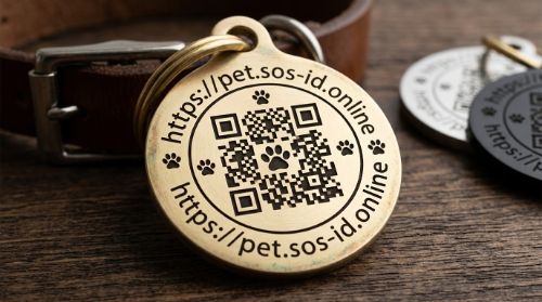 Питомец с QR-браслетом